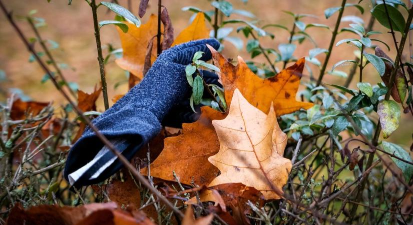 Milyen idő lesz holnap Nagykanizsán? A reggel elég durvának ígérkezik