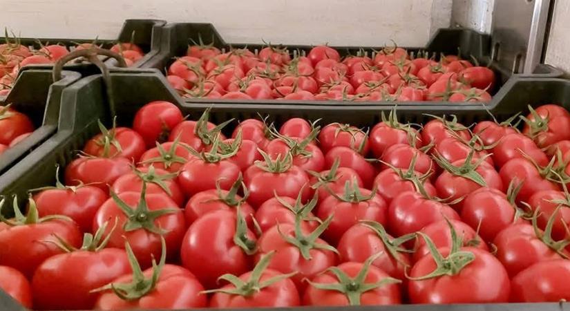 Nem éppen paradicsomi állapotok – friss piaci jelentés