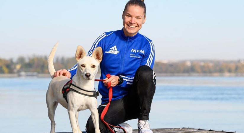 Sportcsillagok mentik a bajba jutott állatokat – itt a Bajnok Naptár, amiért megőrül Paks!