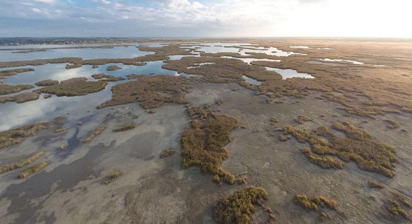 Pátka és a Velencei-tó: harminc éve is ugyanez volt