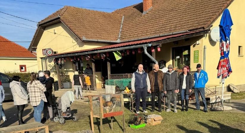 Indul a harc a kakaskirály címért a zalai településen – Idén talán sikerül megválasztani a szomorú sorsú Gyuri utódját