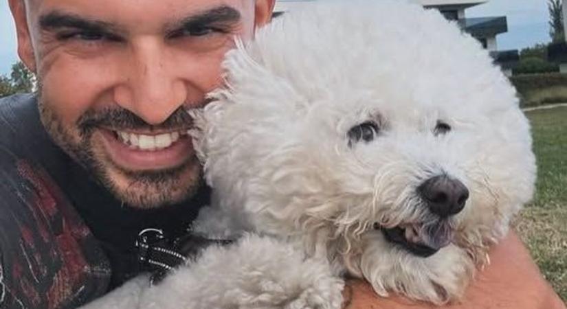 Állati cukiság: hírességek és szeretett házikedvenceik a megyéből (videó)