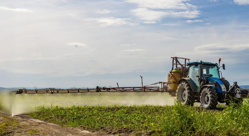 Fehérje, sikér, olajtartalom: így biztosíthatod a csúcsminőséget kénpótlással