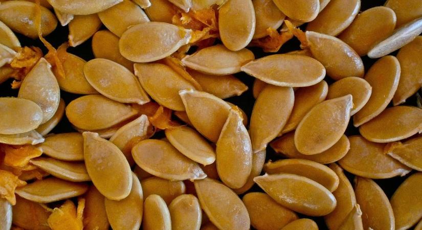 Vetőmag tárolás télre – hogy maradjon csíraképes?