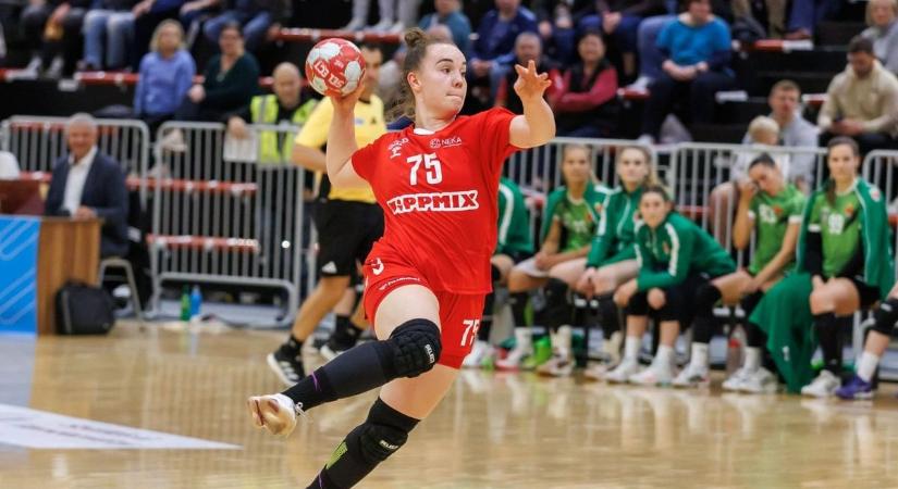 Karácsony előtt fogadja a Mosonmagyaróvárt a NEKA