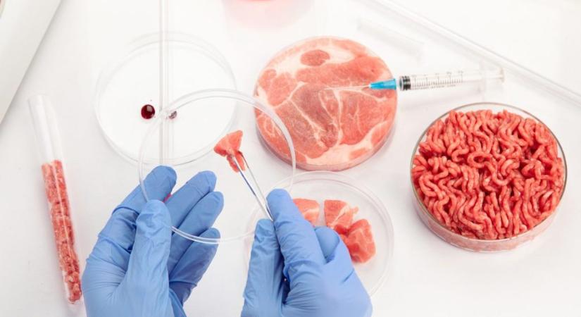 Betiltották a műhúst Magyarországon
