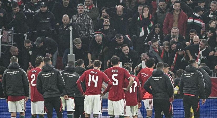 Mondd csak, Tamás, van neked akváriumod?