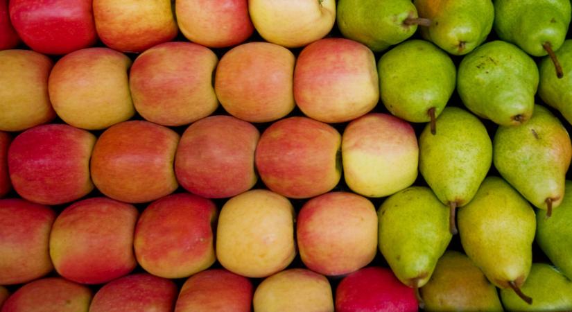 Itt a friss jelentés: váratlan hírek érkeztek az európai almáról, körtéről