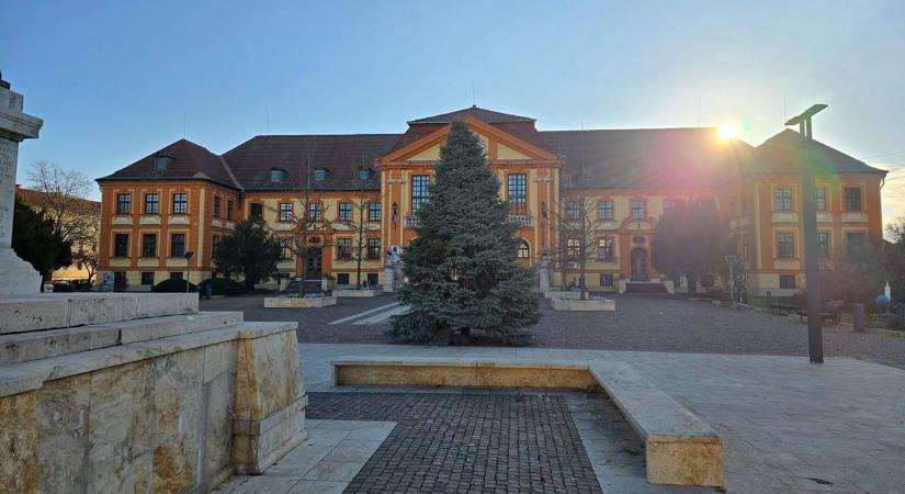 Megérkezett Komárom karácsonyfája – már készül a város ünnepi díszítése