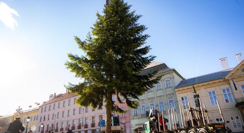 Felállították a karácsonyfát Kassa belvárosában