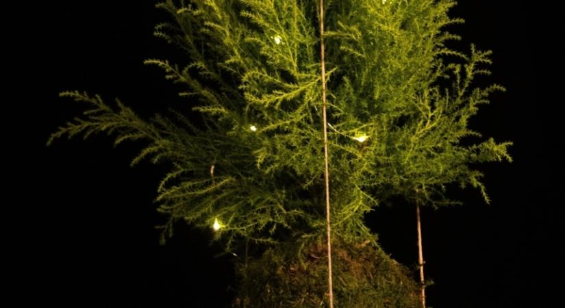 Újabb zseniális ötlet a japánoktól: állíts vagány, mégis minimalista karácsonyfát!