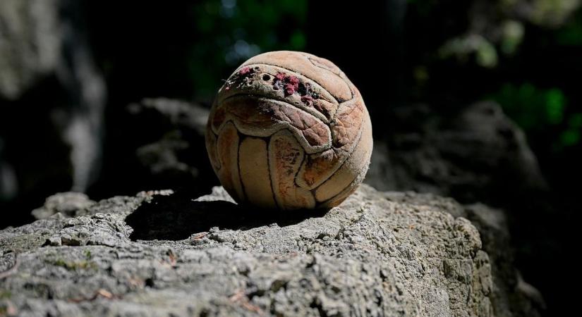 Bakonyi stoplinyomok – Tovább folyik a játékoskeresés