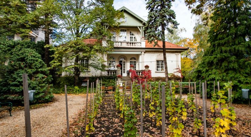 A Törley család és a Titok-villa