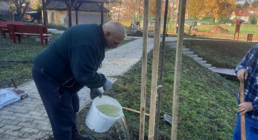 Új fákkal gazdagodott Egerszólát