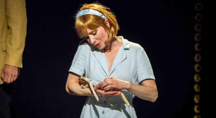 MEGSZEMÉLYESÍTHETETLEN SZERELEM Podlovics Laura: Moonlight Pictures / Füge Produkció, Jurányi Ház