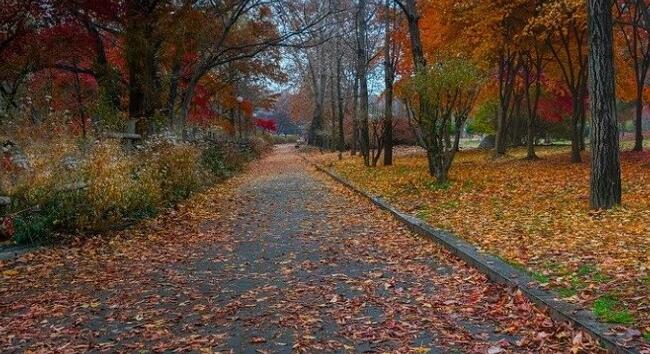 Havas karácsony? Ezt üzeni az Erzsébet-napi népi megfigyelés