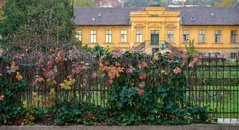 Védett történeti kert lett a Budai Arborétum