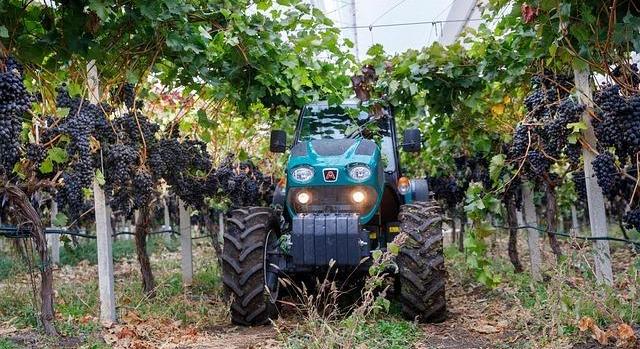 AM: továbbra is elkötelezett a kormány a bortermelők támogatása mellett