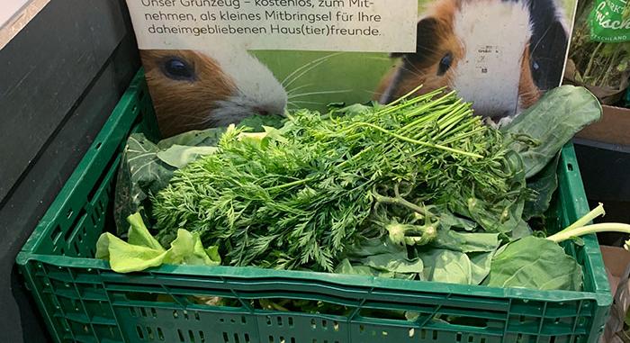 És ez nem is kisállat-kereskedés – A nap képe