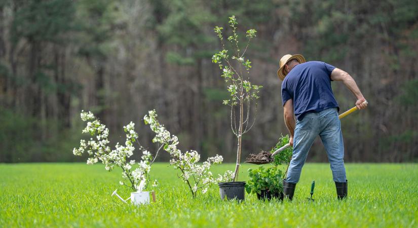 Megakadt a férfi ásója kertásás közben, amit talált, attól örökre megváltozott az élete