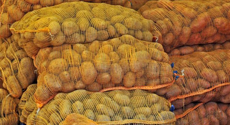 Rendeződik a burgonyapiac