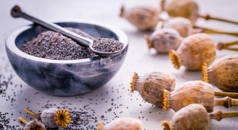 Meglepő, milyen növényt termel a magyar gazdaság: állítják, megéri