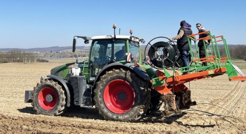 Automatizált felszín alatti csepegtető öntözés: gyakorlati útmutató magyar gazdák számára