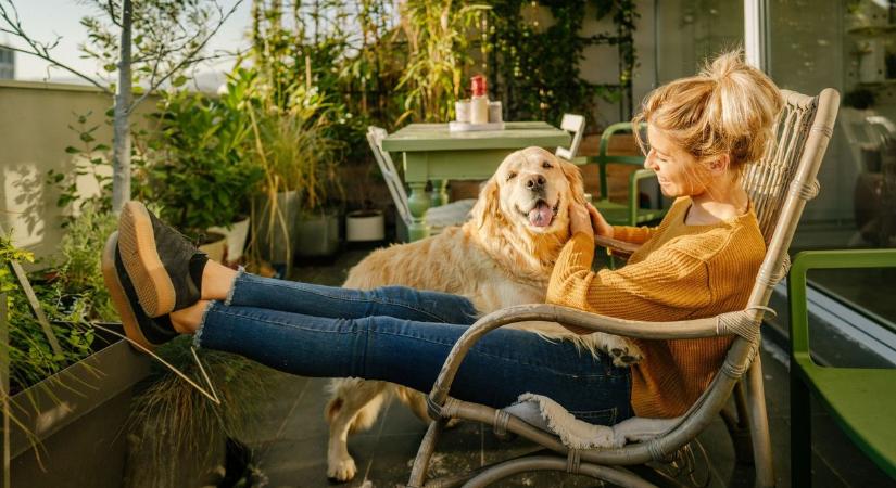 Időjárás: derűs szerda vár ránk, néhol makacs köddel