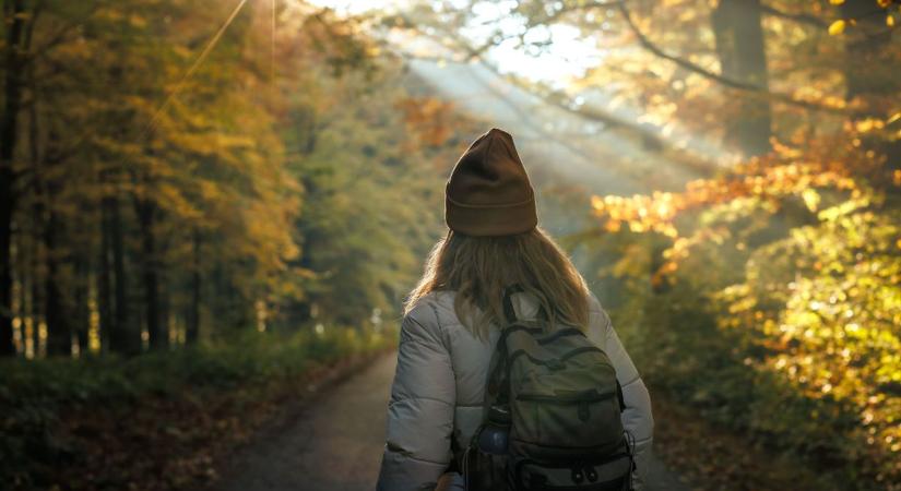 Új kiállítások, lendületes koncertek és élménydús események