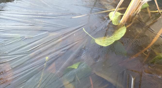 Közel volt a -10 fok északkeleten