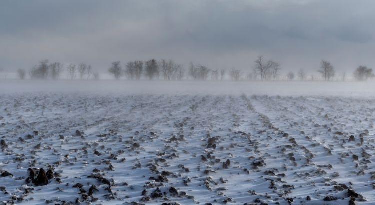 Ősszel nem jött normális eső, a tél hozhat megváltást