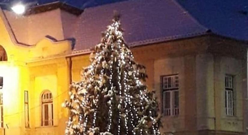 Legyen az ön fenyője Tapolca karácsonyfája!