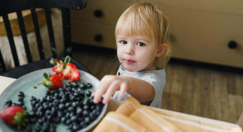 Egészséges szokások játékosan – a hosszú, jó élet már gyerekkorban kezdődik!