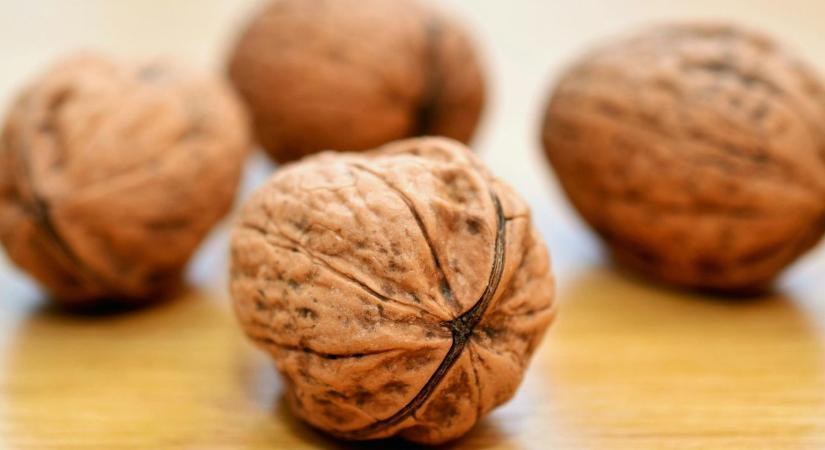 Gyenge diótermés, rekordkereslet – karácsonyra kifogyhat a magyar diókészlet