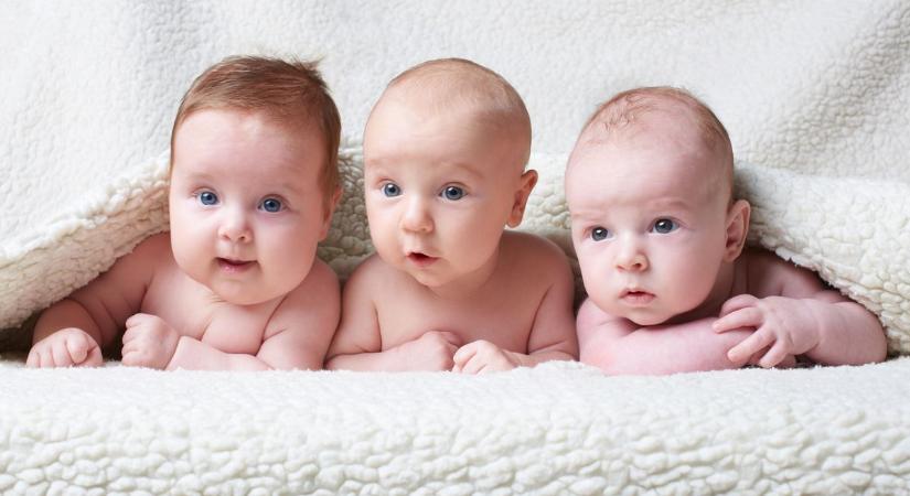 Sok kicsi élet indult el kedden Győrben