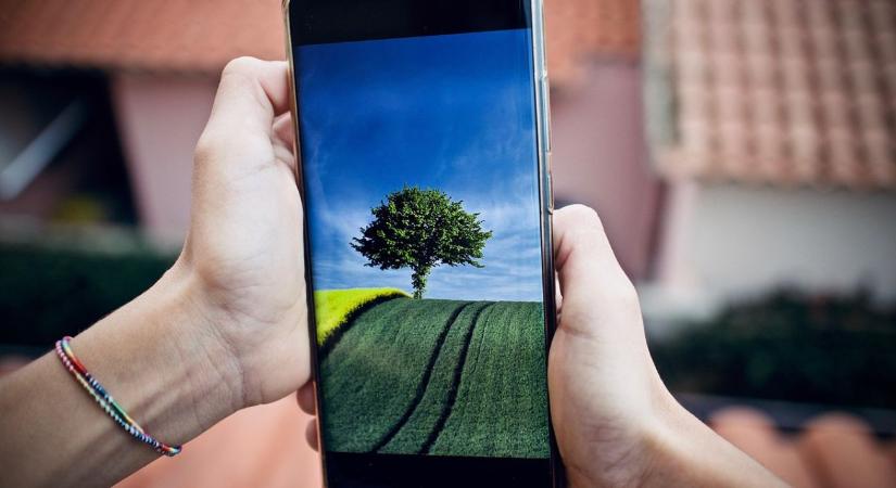 Ellenőrzés előtt állsz? Készíts fotót a mobilGazdával!