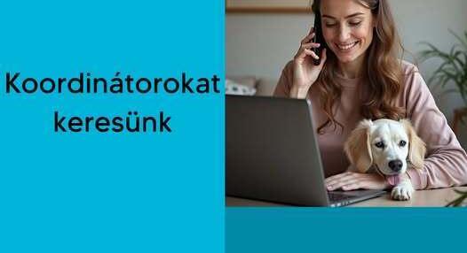 Koordinátorokat keres a Szilveszteri Állatmentő Ügyelet