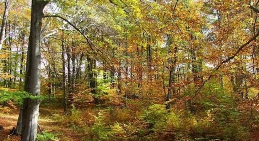 Népszerű kirándulóhelyeket kell lezárni a Bükkben – veszélybe kerül, aki kihagyja a figyelmeztető táblákat