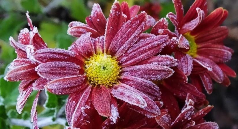 Megjött a fagy, a idei ősz leghidegebb éjszakáját havazás kísérheti