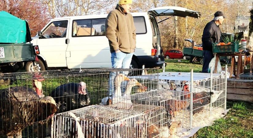 Dunaföldvári vásár – egyszerre múltidéző és lüktető kavalkád (videó)