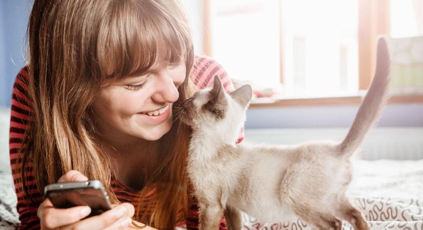 Macska-rizikó: Duplára nőhet a skizofrénia esélye a cicatulajdonosoknál?