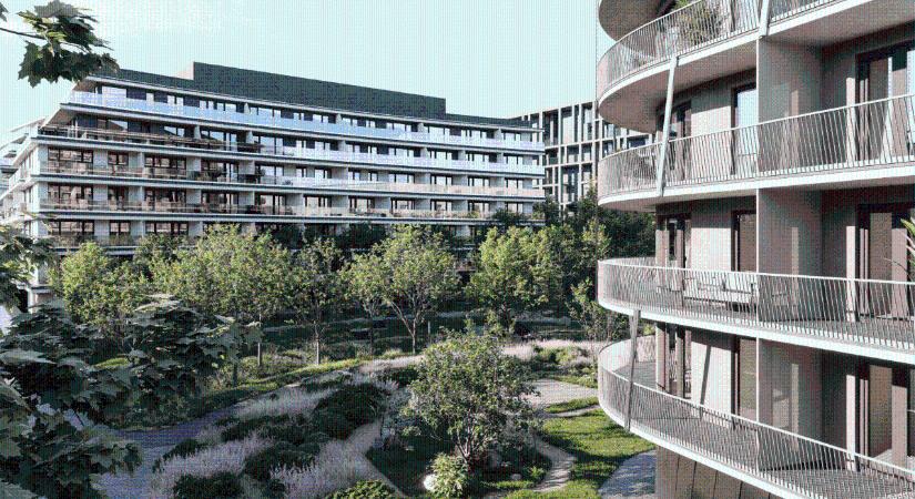 Beluga Garden – Életre való otthonok fenntarthatóan