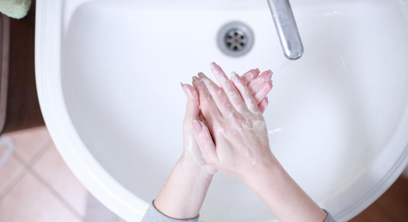 Csökken a sárgaság terjedése Gömörben és Nógrádban