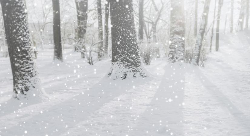 Az első hó is megérkezhet a hétvégén: mediterrán ciklon hozhat télies fordulatot Magyarországon