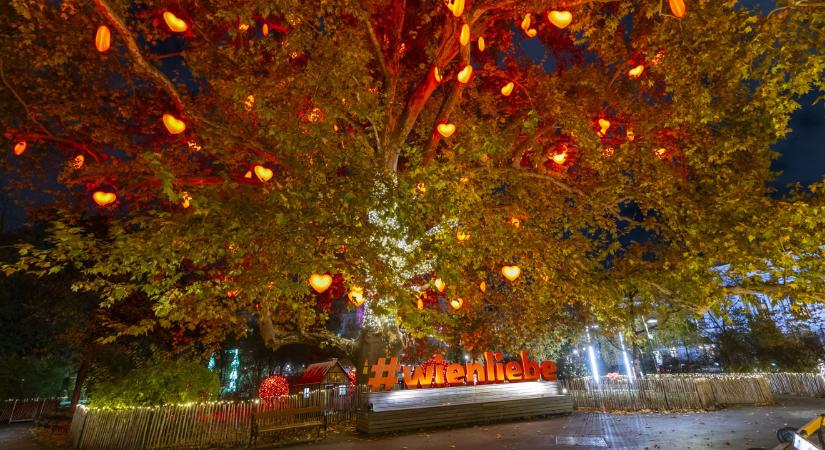 14 karácsonyi vásár lesz Bécsben