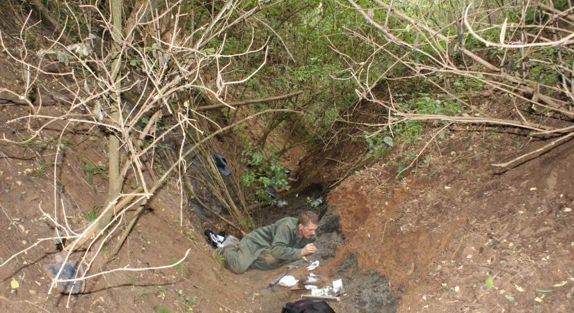 Meglepő dinoszauruszfosszíliára bukkantak magyar és román paleontológusok egy kivételesen gazdag erdélyi lelőhelyen