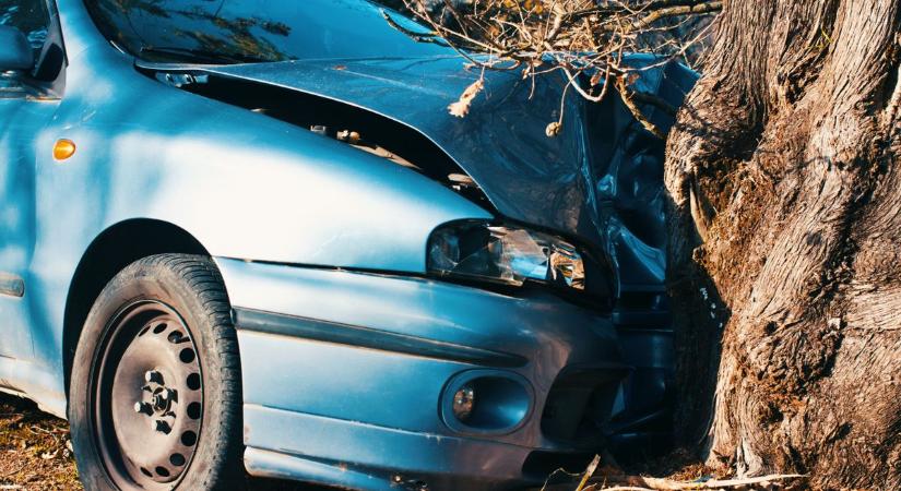 Részegen, jogsi nélkül csapódott fának a 19 éves sofőr