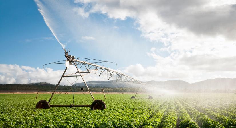 Brutális pusztítást végzett az aszály: azonnali beavatkozásra van szükség