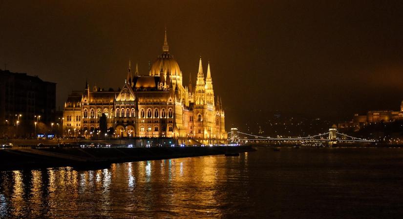 Magyarország karácsonyfája: Nyírségből érkezik a gyönyörű ezüstfenyő