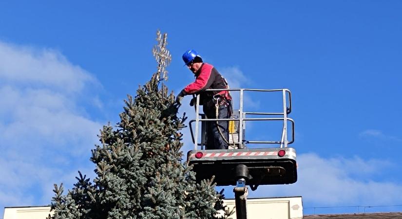 Díszítik a Kossuth téri fenyőt: így került fel a csillagdísz a város karácsonyfájára – videóval
